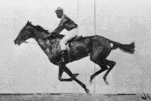 Muybridge's Race Horse, running backwards forwards. 