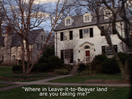 "Leave-it-to-Beaver Land" animated GIF by @aforgrave